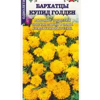 Семена Бархатцы Купид Голден /Сотка/ 0,1г/ прям. 35см, d-10см/*1500