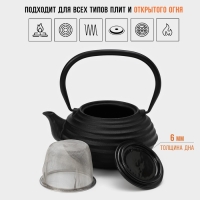 Чайник для плиты с эмалированным покрытием внутри Magma &laquo;Танан&raquo;, 800 мл, чугун, с ситом, индукция