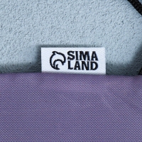 Мешок для обуви &laquo;Весёлый щенок&raquo; с дополнительными элементами, 30 х 40 см