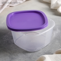 Контейнер для продуктов с мерной шкалой &laquo;BioFresh&raquo;, 900 мл, прозрачный, крышка микс