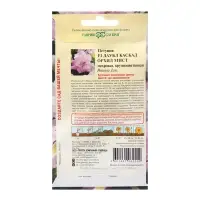 Семена Петуния "Даубл Каскад", ц/п,  орхид Мист, F1, 5 шт