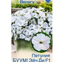 Семена цветов Петуния БУУМ! Эйч Ди F1 Вайт многоцветковая  (драже)  Benary, Ц/П,7 шт.