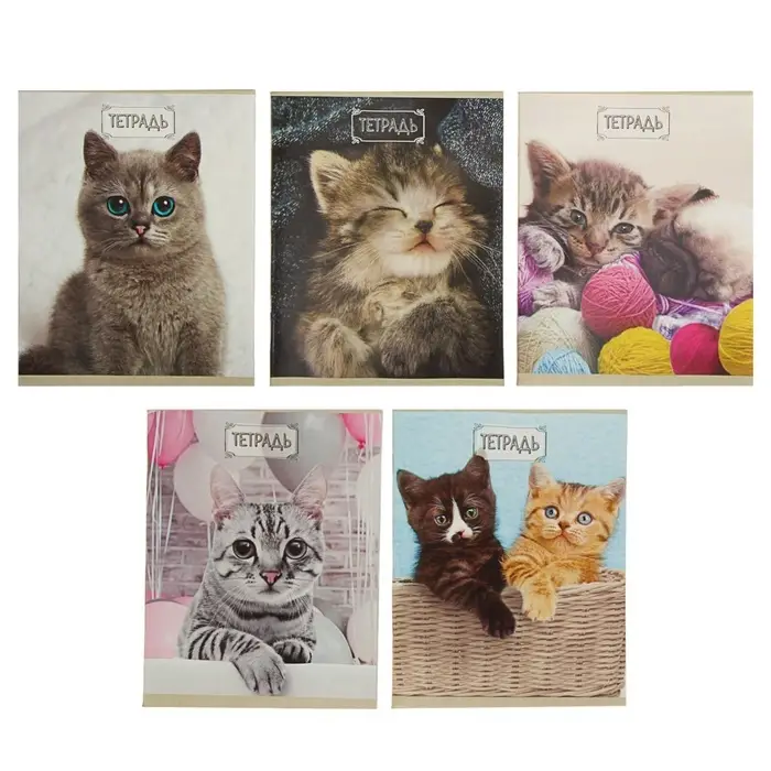 Тетрадь 48 листов в клетку Calligrata &laquo;Милые котята&raquo;, обложка мелованный картон, блок №2, белизна 75% (серые листы), МИКС