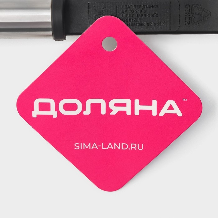 Половник Доляна &laquo;Антрацитовый блеск&raquo;, 31 см