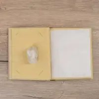 Фотоальбом "Коалы" 10 листов, 19х19х2 см, фото 10х15 см