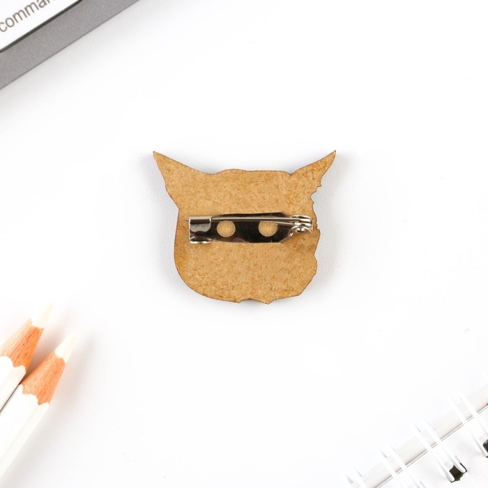 Значок &laquo;Это тот самый кот!&raquo;, 3 х 2,6 см