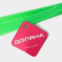 Ложка для обуви Доляна, с петелькой, 30&times;4 см, 17.4 см, зелёная