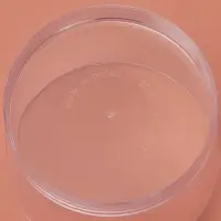 Форма пластиковая одноразовая для фуршета &laquo;Ноль&raquo;, 60 мл, прозрачная