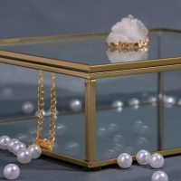 Органайзер для хранения &laquo;MOUNTAINS&raquo;, с крышкой, стеклянный, с зеркальным дном, 1 секция, 20 &times; 16 &times; 6,5 см, цвет прозрачный/медный