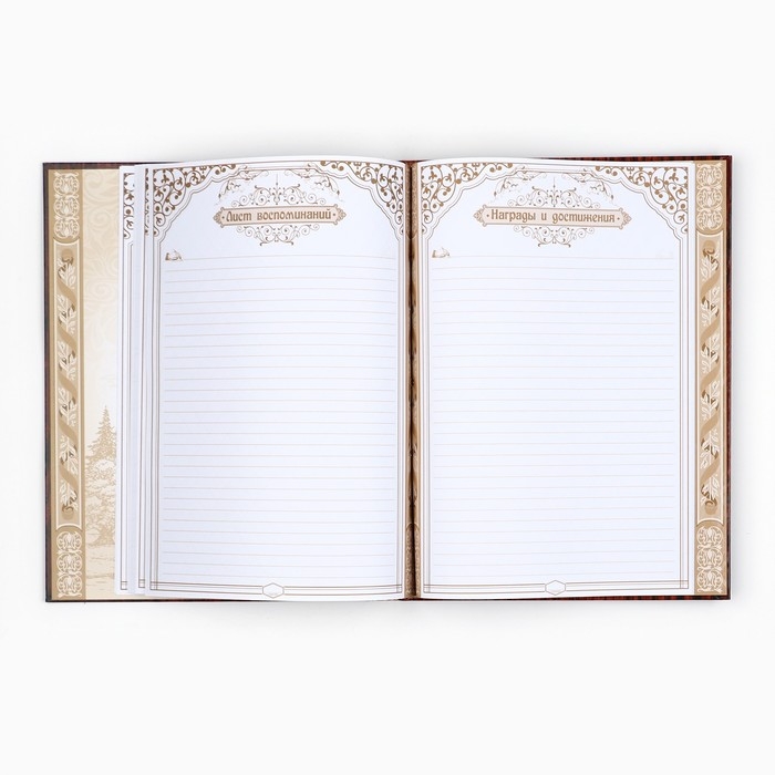 Родословная книга &laquo;Дерево&raquo;, 100 страниц, 22 х 31 см.