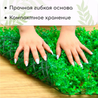 Декоративная панель, 60 &times; 40 см, &laquo;Самшит&raquo;, Greengo