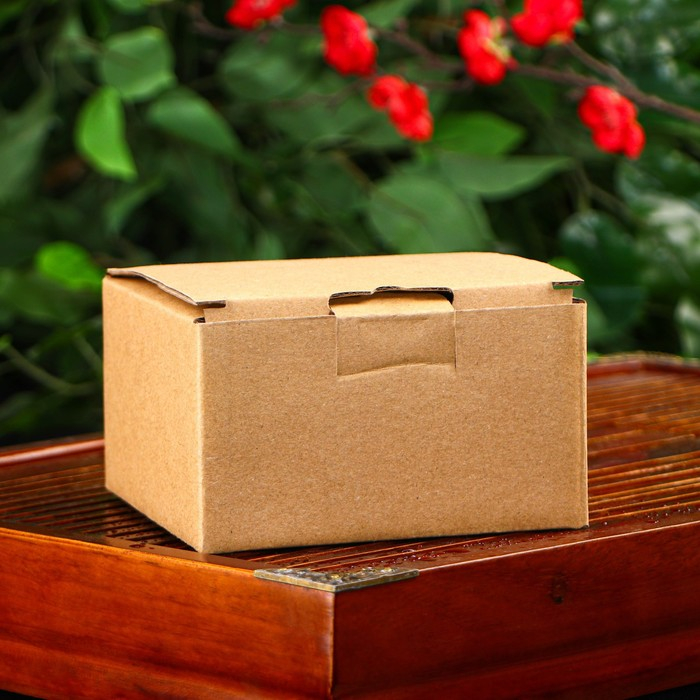 Чайник для плиты Доляна &laquo;Волна. Этно&raquo;, 300 мл, с ситом, чугун, цвет бронзовый