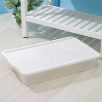 Контейнер для хранения с крышкой Porter, 18 л, 66&times;42&times;12 см, цвет слоновая кость