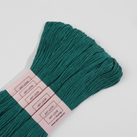 Набор ниток мулине №3808, 8 &plusmn; 1 м, 6 шт, цвет тёмно-бирюзовый