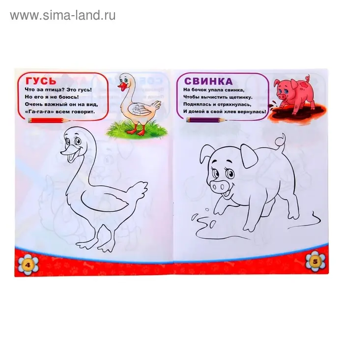 Раскраска детская &laquo;Домашние животные&raquo;, 12 стр.