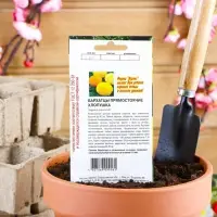 Семена цветов Бархатцы прямостоячие "Хлопушка", 0,2 г