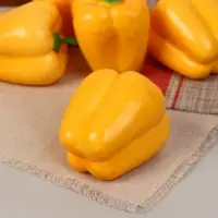 Муляж "Перец" жёлтый