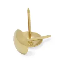 Гвозди ТУНДРА, декоративные, обивочные, 10&times;18.5 мм, золото, 100 шт.