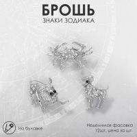 Брошь &laquo;Знаки зодиака&raquo; ассорти, гороскоп, цвет белый в серебре (неделимая фасовка 12 шт., цена за шт.)