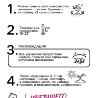 Семена Цветов Нивяник "Солнечные лучики", 0,3 г