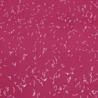 Пленка для цветов, &laquo;Звёздное небо&raquo;, винный, 57&times;57&plusmn;1 см