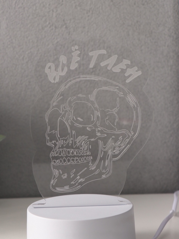Светильник "Череп. Всё тлен" LED RGB от сети RISALUX 9,5х10,2х14,9 см