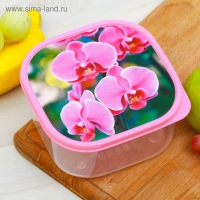 Ланч-бокс &laquo;Орхидеи&raquo;, 700 мл