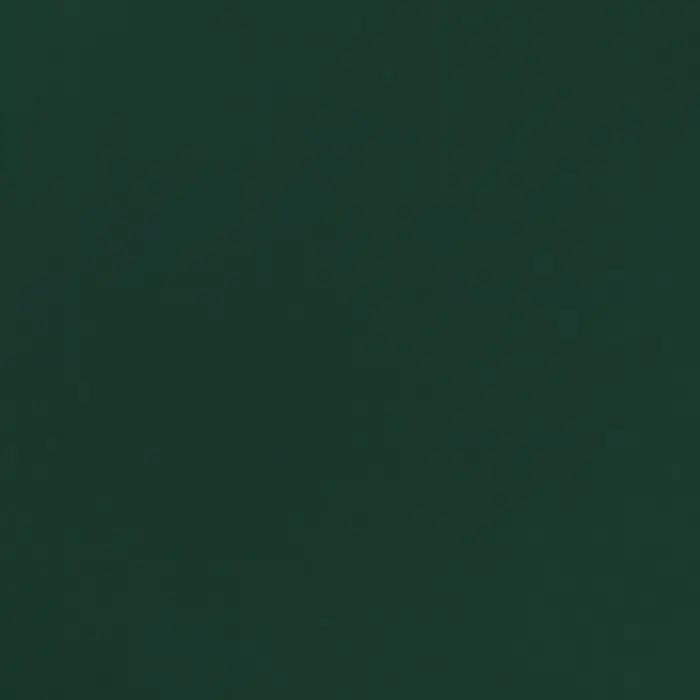 Пленка для цветов, &laquo;Золотая сторона&raquo;, 57&times;57 см &plusmn;1 см зелёная сосна