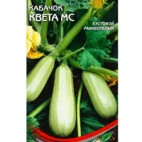 Семена Кабачок Квета Мс 11 шт