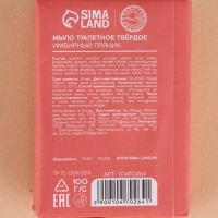 Подарочный набор URAL LAB &laquo;Чудеса рядом&raquo;, мыло для рук кусковое, 2х100 г, Новый Год