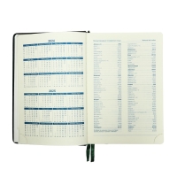 Ежедневник датированный 2025 года, A5, 168 листов в линейку, кожзам "Небраска", золотой срез, зеленый