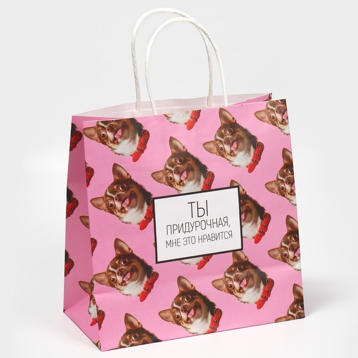 Пакет подарочный, упаковка, &laquo;Киса&raquo;, 22 х 22 х 11 см