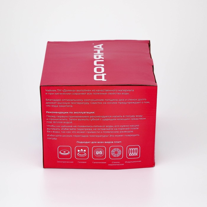 Чайник со свистком из нержавеющей стали Доляна &laquo;Чёрная ночь&raquo;, 3 л, фиксированная ручка, цвет хромированный