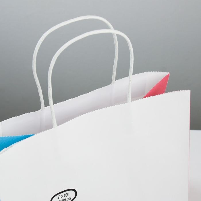 Пакет подарочный крафтовый, упаковка, &laquo;Котик&raquo;, 25 х 22 х 12 см