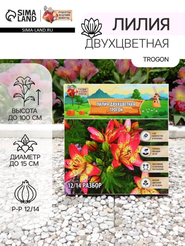 Лилия Двухцветная Trogon, луковица в пакете с перфорацией, р-р 12/14, 3 шт.