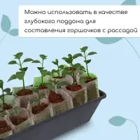 Ящик для рассады, 36 &times; 14 &times; 9 см, 3 л, пластик, чёрный