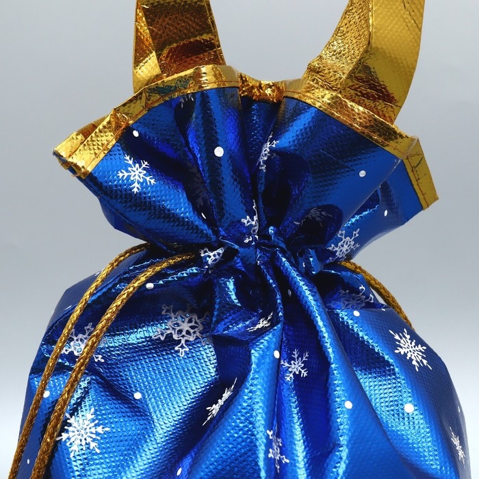 Пакет-мешок из нетканного материала &laquo;Новый год&raquo;, 25 х 32 см, Новый год