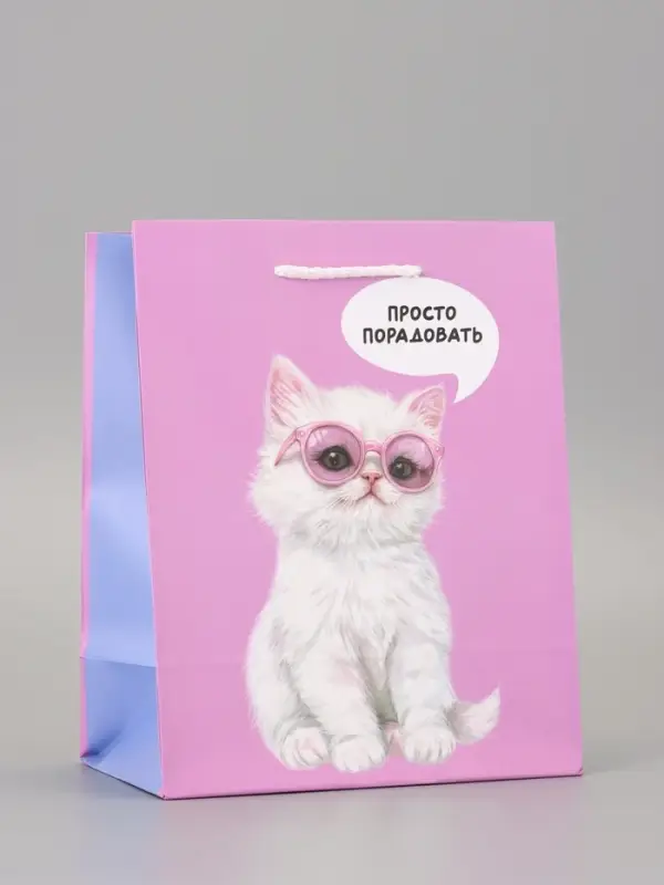 Пакет подарочный ламинированный &laquo;Порадовать&raquo; 18&times;22.3&times;10 см