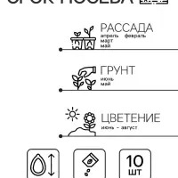 Семена Гербера Джемсона "Гибридная смесь" , 10 шт