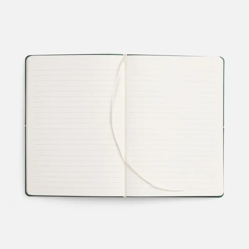 Ежедневник Kuka, недатированный, светло-зеленый