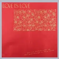 Пленка для цветов матовая, &laquo;Любовь и розы&raquo;, 57&times;57 см, красный