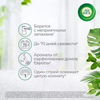 Сменный баллон Airwick Freshmatic "Антитабак Бодрящий апельсин и бергамот", 250 мл