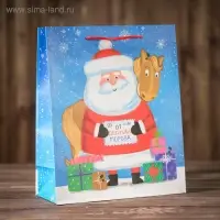 Пакет подарочный &laquo;Письмо от Деда Мороза&raquo;, 26 х 32 х 12 см