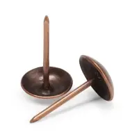 Гвозди ТУНДРА, декоративные, обивочные, 10&times;18.5 мм, медь, фасовка 50 шт.