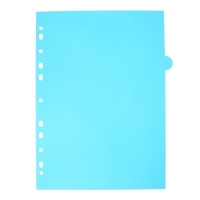 Разделитель листов A4 (245 x 305 мм), цветовой, 12 листов, "deVENTE. Pastel", полипропилен 140 мкм, индивидуальная упаковка