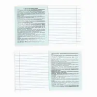 Тетрадь в линейку, предметная, 36 л.,на скрепке, блок №1&laquo;Мемы. Литература&raquo;