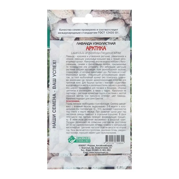 Семена Лаванда узколистная "Арктика",  5 шт