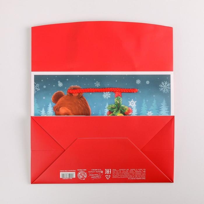 Пакет-коробка &laquo;Для тебя&raquo;, 23 х 18 х 11 см, Новый год