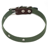 Ошейник брезентовый однослойный, 52 х 2 см, ОШ 25-45 см, тёмно-зелёный
