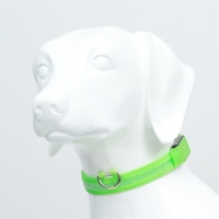 Ошейник с подсветкой размер L, ОШ 45-52 х 2,5 см, 3 режима свечения зелёный